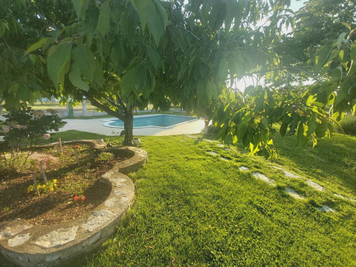 Kaja House Apartments Лозовац Екстериор снимка