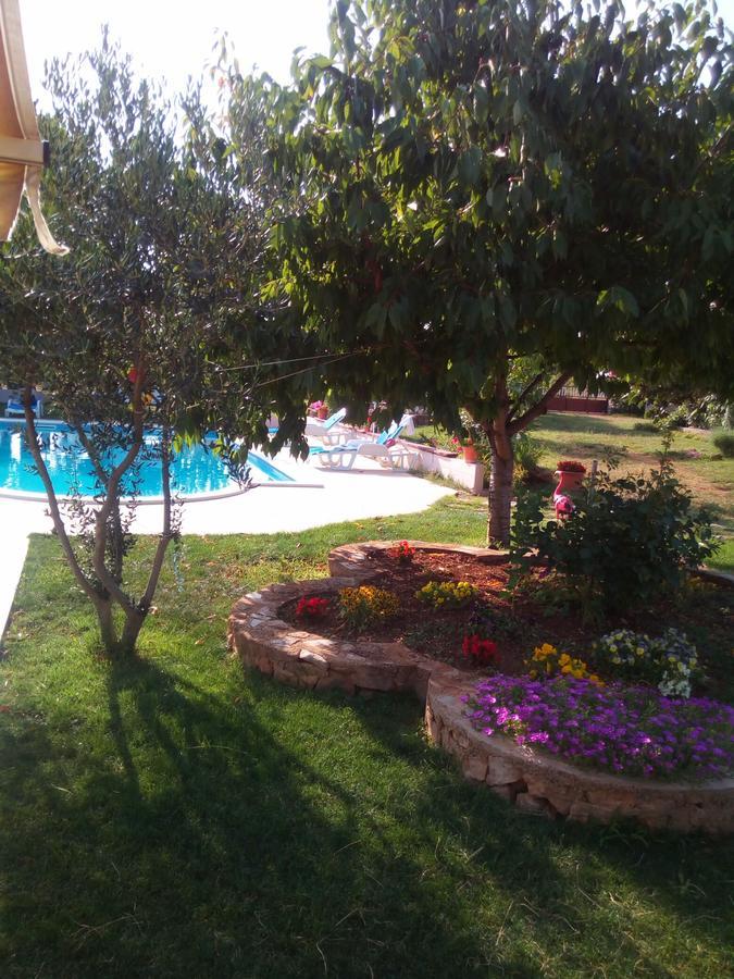 Kaja House Apartments Лозовац Екстериор снимка