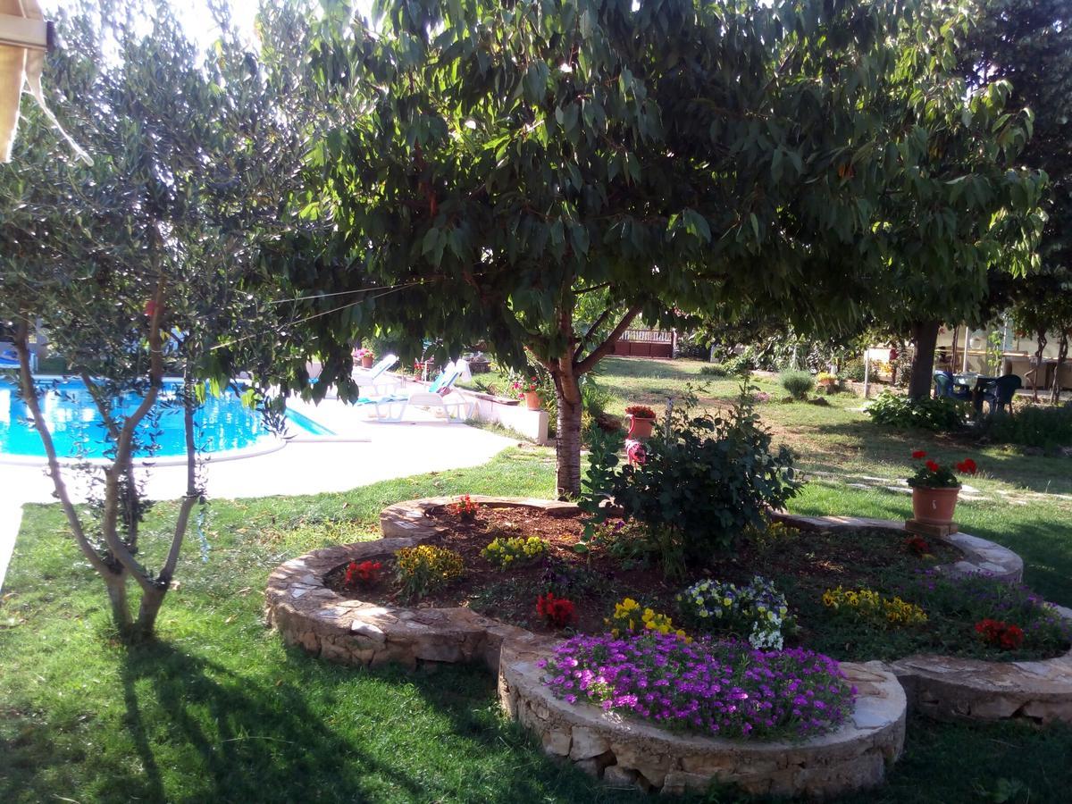 Kaja House Apartments Лозовац Екстериор снимка